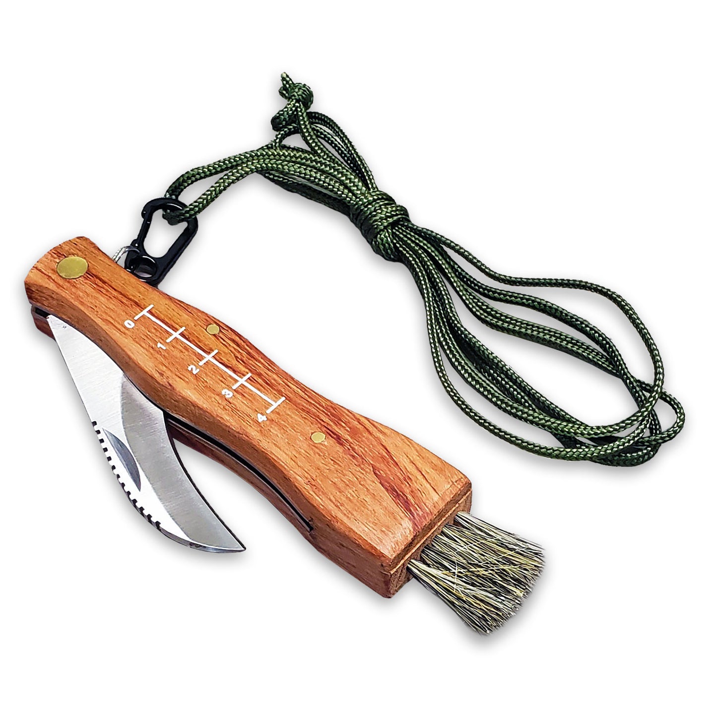 Mushroom Foraging Tool - Folding Knife with Brush