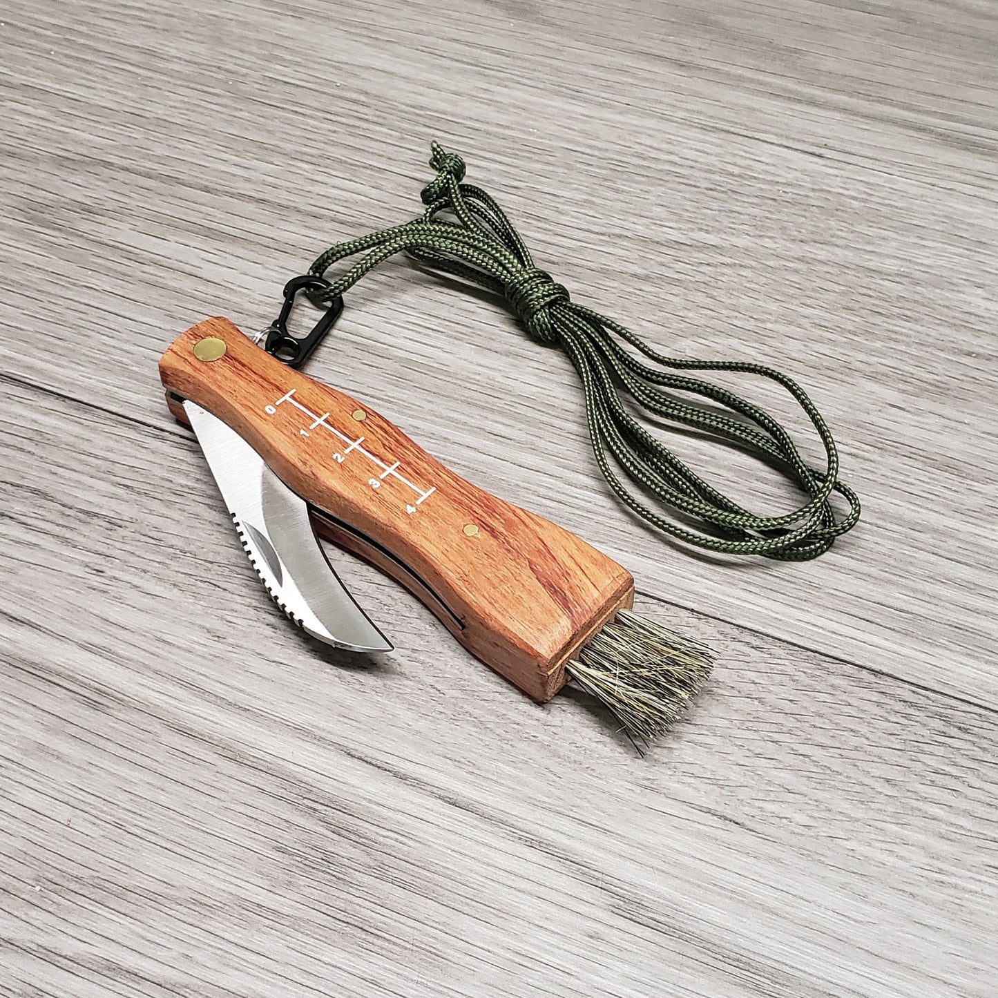 Mushroom Foraging Tool - Folding Knife with Brush