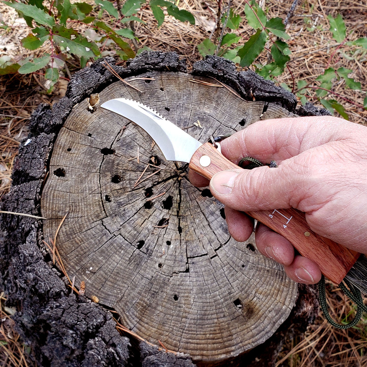 Mushroom Foraging Tool - Folding Knife with Brush
