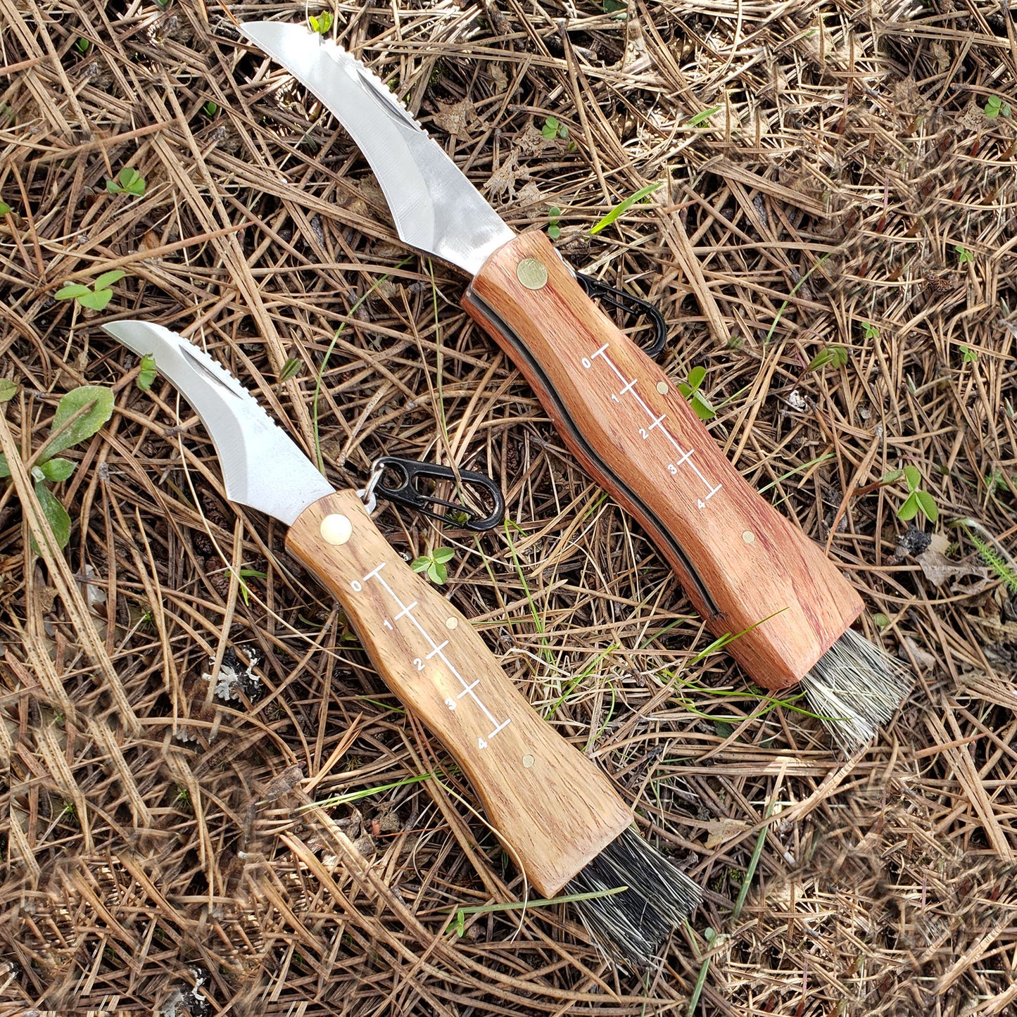 Mushroom Foraging Tool - Folding Knife with Brush