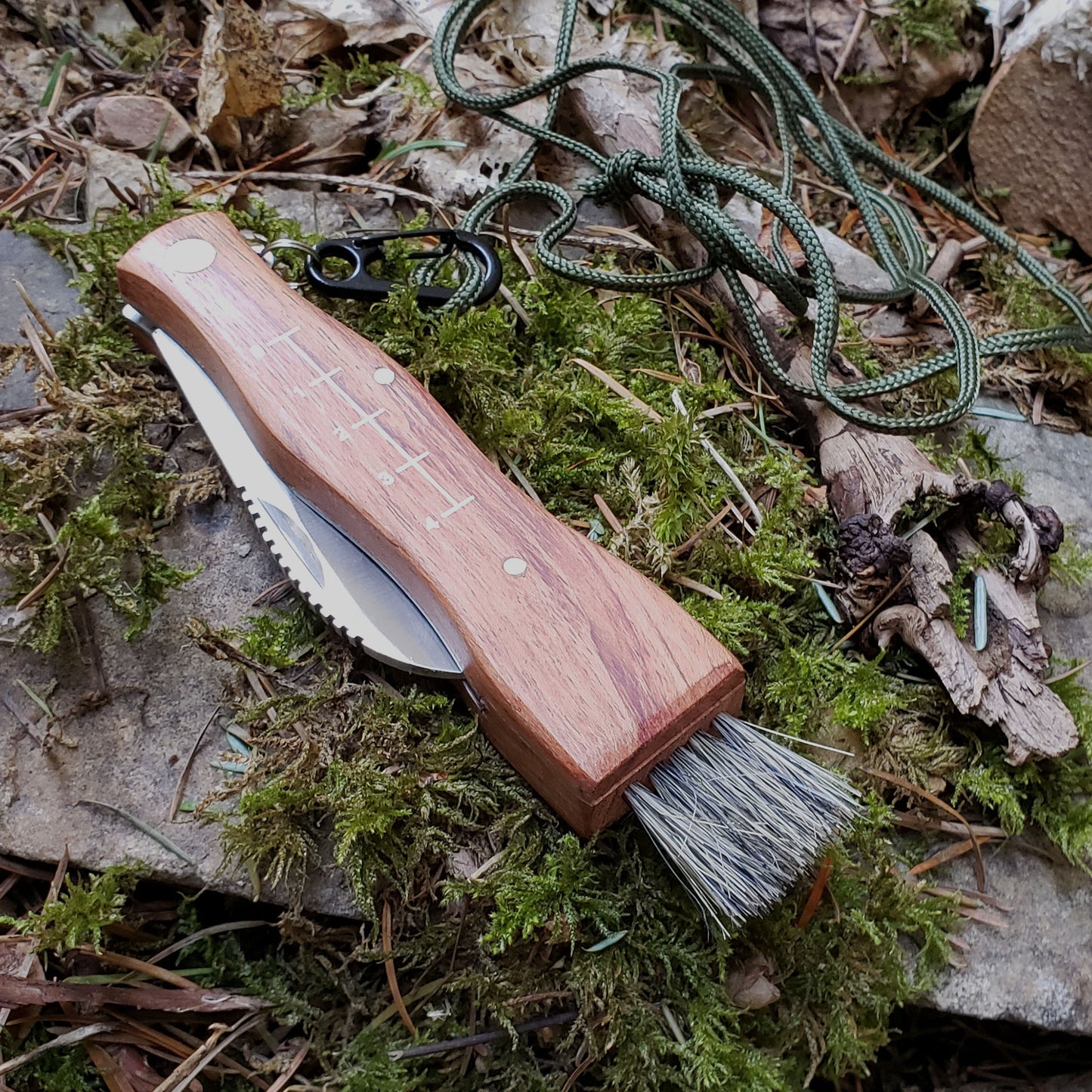 Mushroom Foraging Tool - Folding Knife with Brush