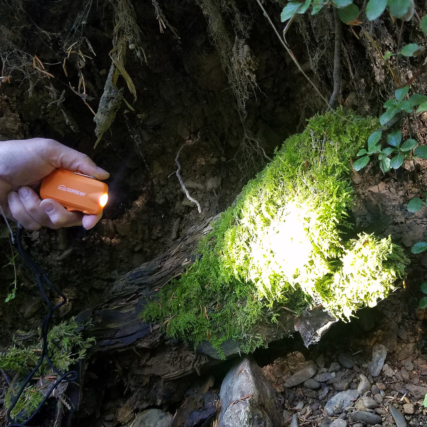 flashlight lighter combo