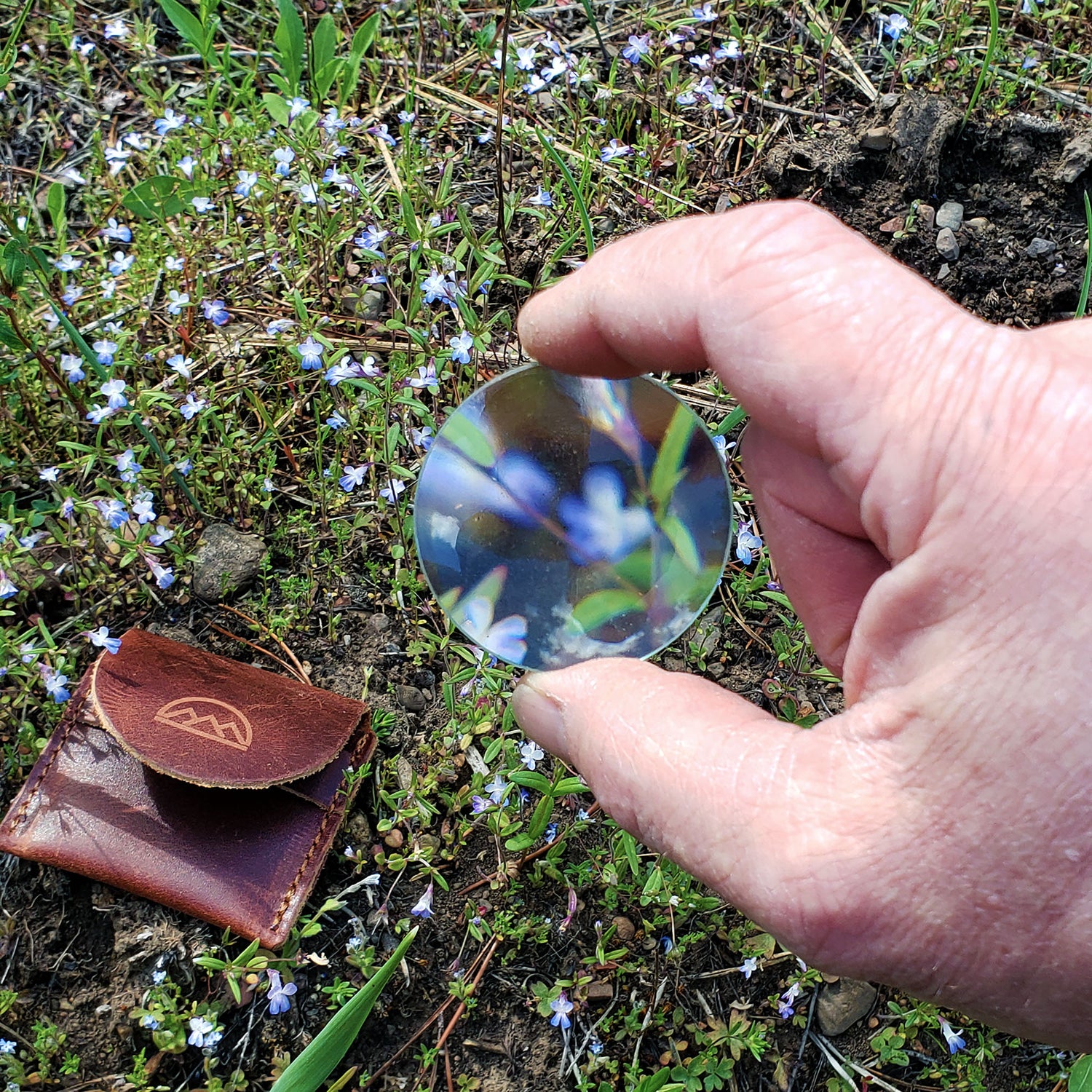 magnifying glass with pouch for plant identification