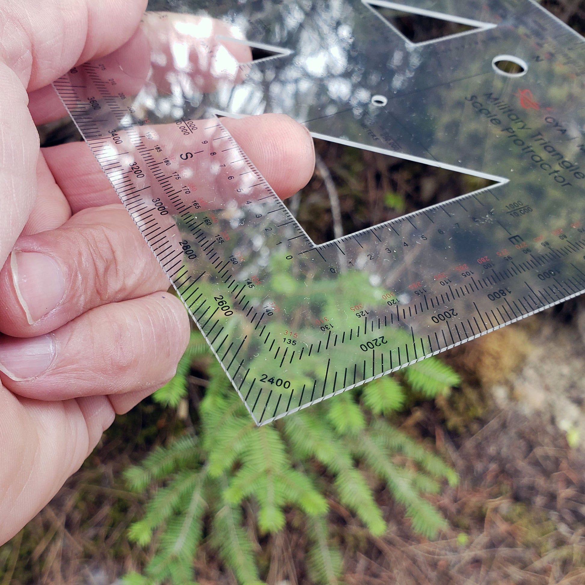coordinate scale and protractor